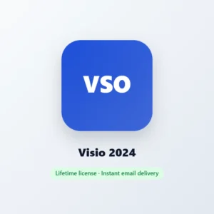 Visio 2024 license