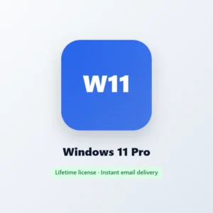 Windows 11 Pro license