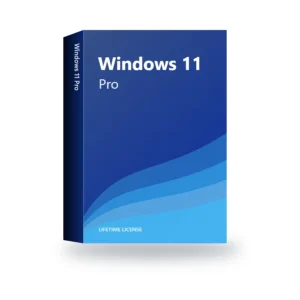 Windows 11 Pro license box