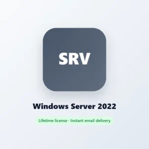 Windows Server 2022 license